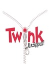 Twink Unzzipped (eBook): The Official Biography